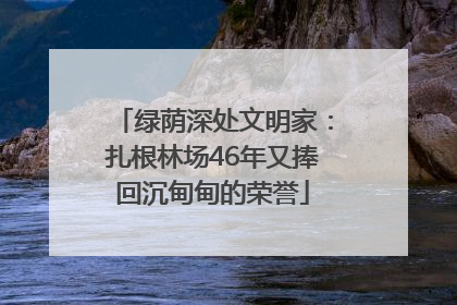 绿荫深处文明家：扎根林场46年又捧回沉甸甸的荣誉