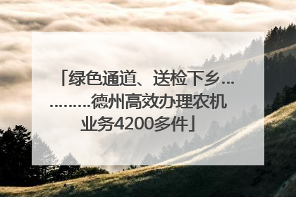 绿色通道、送检下乡…………德州高效办理农机业务4200多件