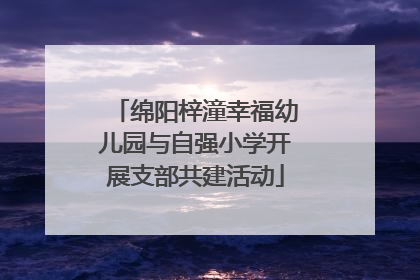 绵阳梓潼幸福幼儿园与自强小学开展支部共建活动