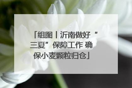 组图丨沂南做好“三夏”保障工作 确保小麦颗粒归仓