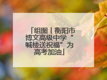 组图丨衡阳市博文高级中学“喊楼送祝福”为高考加油