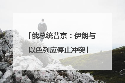 俄总统普京：伊朗与以色列应停止冲突
