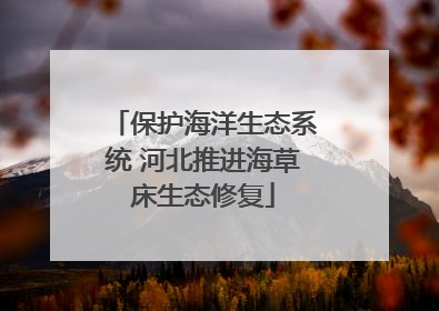 保护海洋生态系统 河北推进海草床生态修复