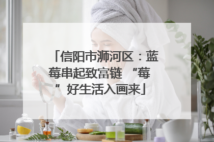 信阳市浉河区：蓝莓串起致富链 “莓”好生活入画来