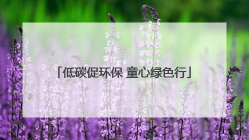 低碳促环保 童心绿色行