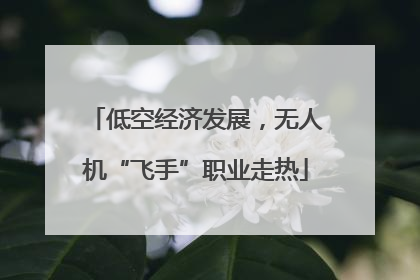 低空经济发展，无人机“飞手”职业走热