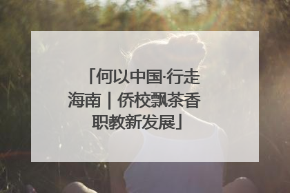 何以中国·行走海南｜侨校飘茶香 职教新发展