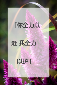 你全力以赴 我全力以护