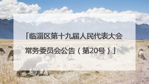 临淄区第十九届人民代表大会常务委员会公告（第20号）