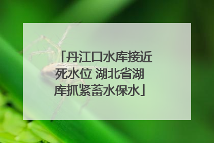 丹江口水库接近死水位 湖北省湖库抓紧蓄水保水