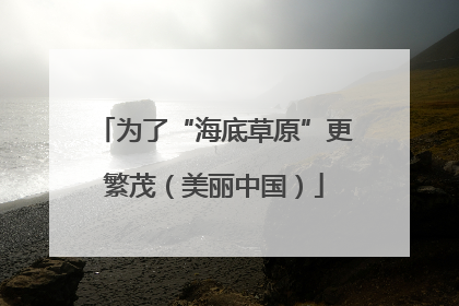 为了“海底草原”更繁茂（美丽中国）