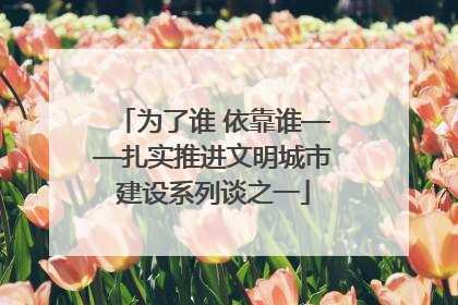 为了谁 依靠谁——扎实推进文明城市建设系列谈之一