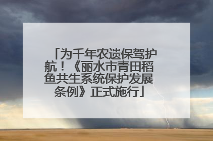 为千年农遗保驾护航！《丽水市青田稻鱼共生系统保护发展条例》正式施行