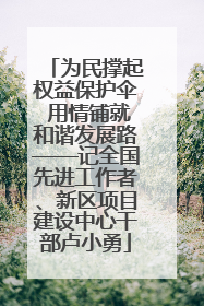 为民撑起权益保护伞 用情铺就和谐发展路——记全国先进工作者、新区项目建设中心干部卢小勇