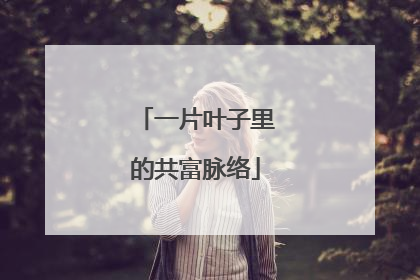 一片叶子里的共富脉络