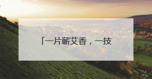 一片蕲艾香，一技千古承，一人一家店，养活一家人——俏妃蕲春溯源直播解码中医养生文化传承