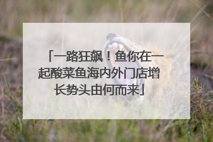 一路狂飙！鱼你在一起酸菜鱼海内外门店增长势头由何而来