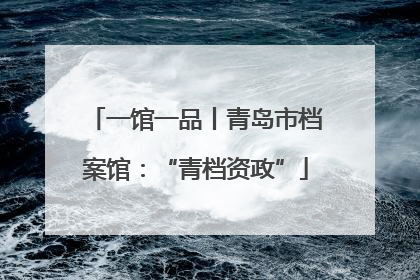 一馆一品丨青岛市档案馆：“青档资政”