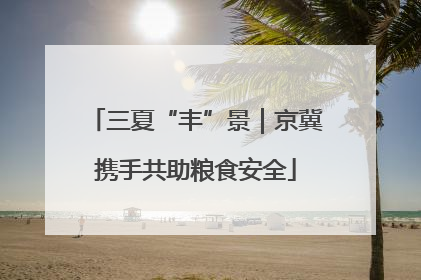 三夏“丰”景｜京冀携手共助粮食安全