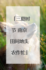 三夏时节 南京田间地头农作忙