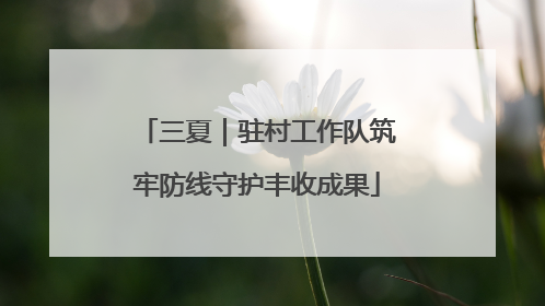 三夏｜驻村工作队筑牢防线守护丰收成果