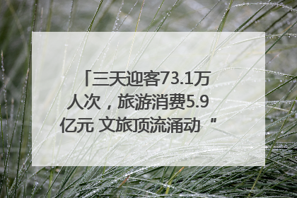 三天迎客73.1万人次，旅游消费5.9亿元 文旅顶流涌动“江宁style”