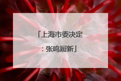 上海市委决定：张鸣履新