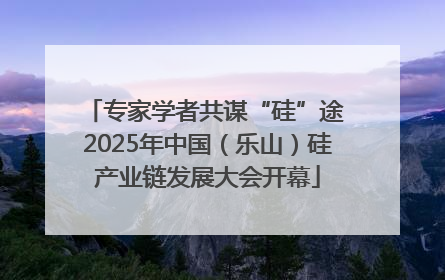 专家学者共谋“硅”途 2025年中国（乐山）硅产业链发展大会开幕