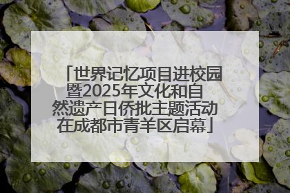 世界记忆项目进校园暨2025年文化和自然遗产日侨批主题活动在成都市青羊区启幕