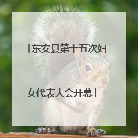 东安县第十五次妇女代表大会开幕