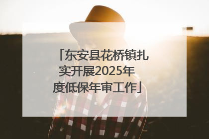 东安县花桥镇扎实开展2025年度低保年审工作