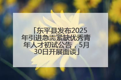 东平县发布2025年引进急需紧缺优秀青年人才初试公告，5月30日开展面谈
