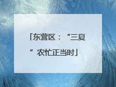 东营区：“三夏”农忙正当时