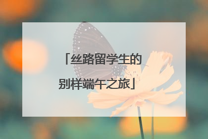 丝路留学生的别样端午之旅