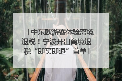 中东欧游客体验离境退税！宁波开出离境退税“即买即退”首单