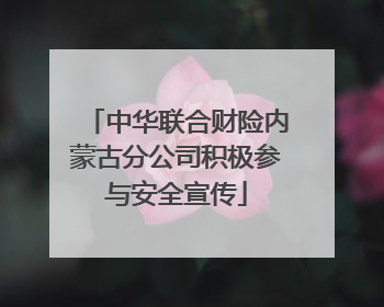 中华联合财险内蒙古分公司积极参与安全宣传