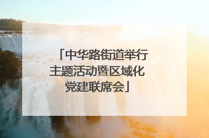 中华路街道举行主题活动暨区域化党建联席会