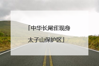 中华长尾雀现身太子山保护区