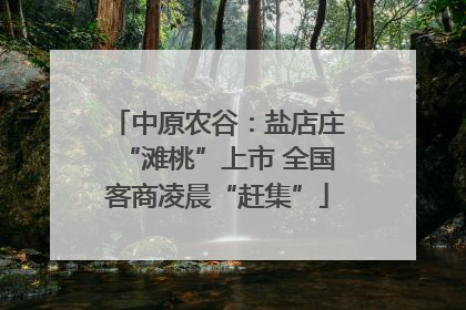 中原农谷：盐店庄“滩桃”上市 全国客商凌晨“赶集”