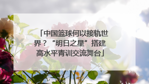 中国篮球何以接轨世界？“明日之星”搭建高水平青训交流舞台