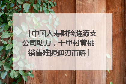 中国人寿财险涟源支公司助力，十甲村黄桃销售难题迎刃而解