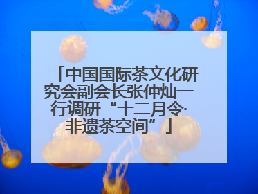 中国国际茶文化研究会副会长张仲灿一行调研“十二月令·非遗茶空间”