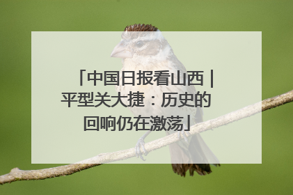 中国日报看山西｜平型关大捷：历史的回响仍在激荡