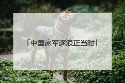 中国泳军逐浪正当时