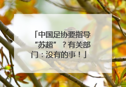 中国足协要指导“苏超”？有关部门：没有的事！