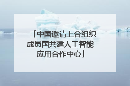 中国邀请上合组织成员国共建人工智能应用合作中心