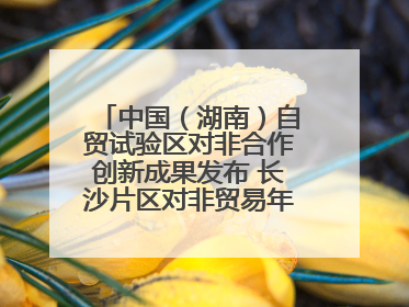 中国（湖南）自贸试验区对非合作创新成果发布 长沙片区对非贸易年均增长141%
