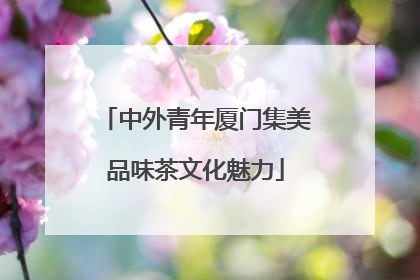 中外青年厦门集美品味茶文化魅力