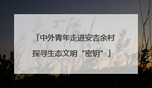 中外青年走进安吉余村探寻生态文明“密钥”