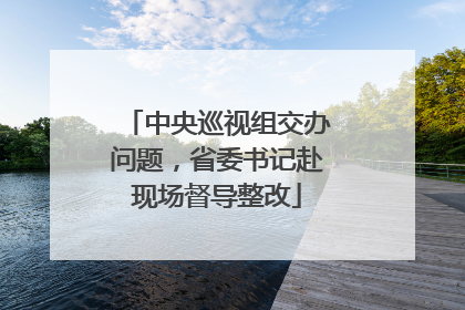 中央巡视组交办问题，省委书记赴现场督导整改